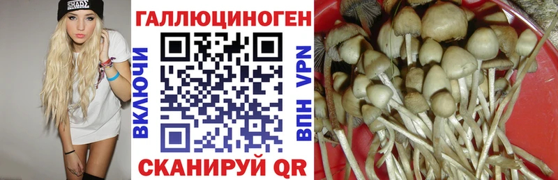 Галлюциногенные грибы Cubensis Канаш