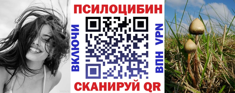 Галлюциногенные грибы Magic Shrooms  Канаш 